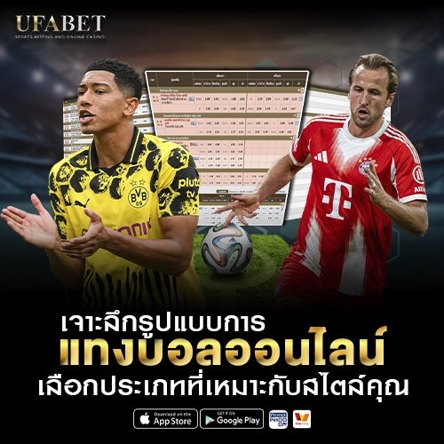 ภาพรวมการ แทงบอลออนไลน์