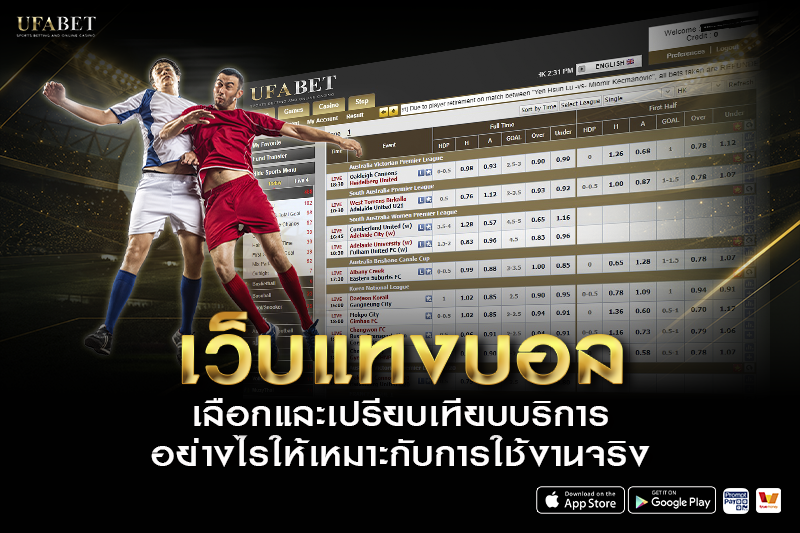 เว็บแทงบอล